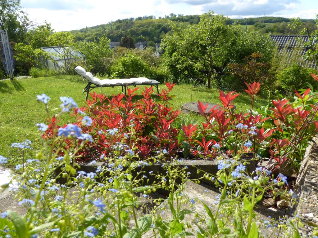 Wohnzimmer Ausblick